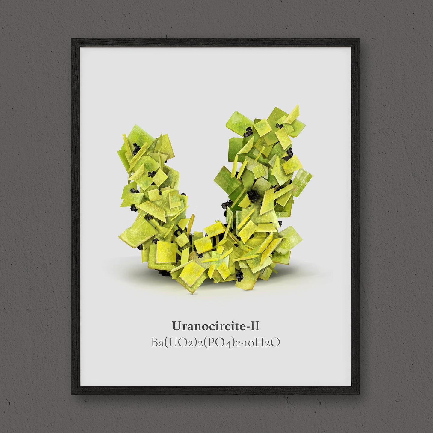U- Uranocircite