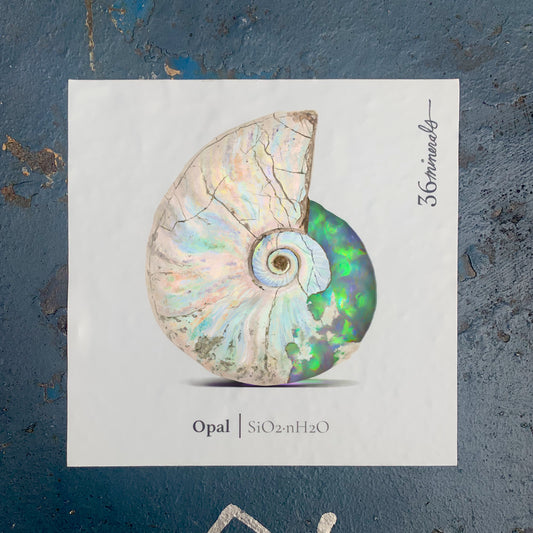 Opal Sticker