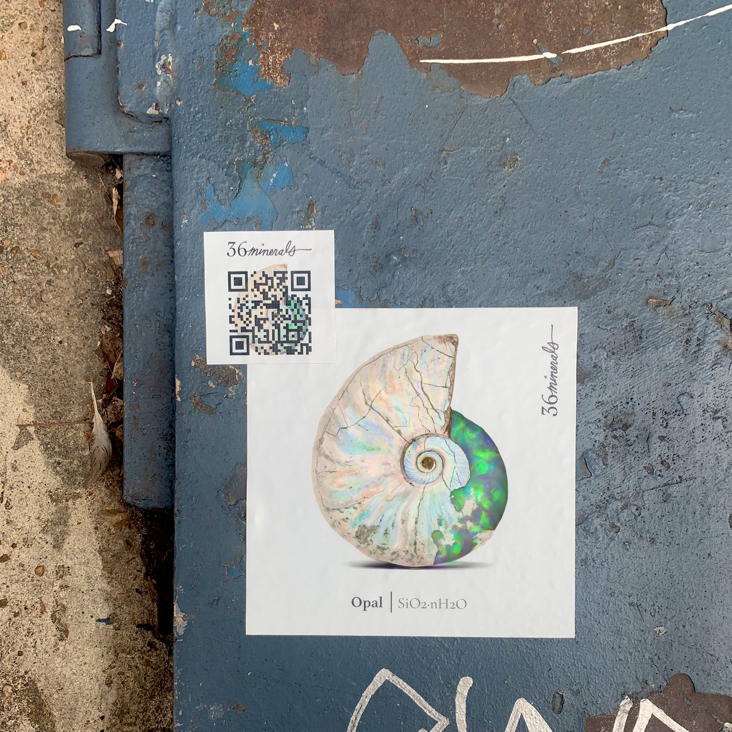 Opal Sticker