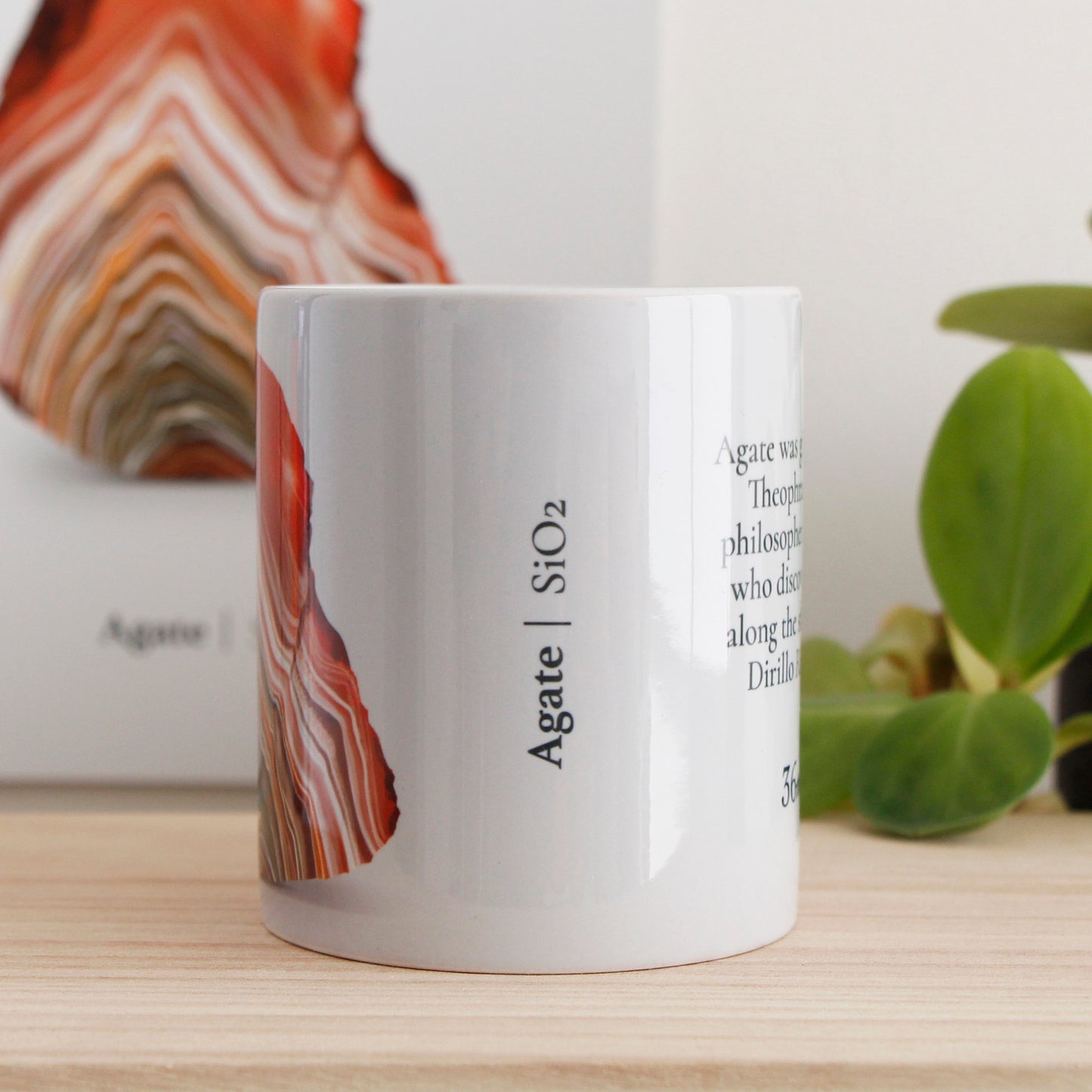 Agate Porcelain Mug