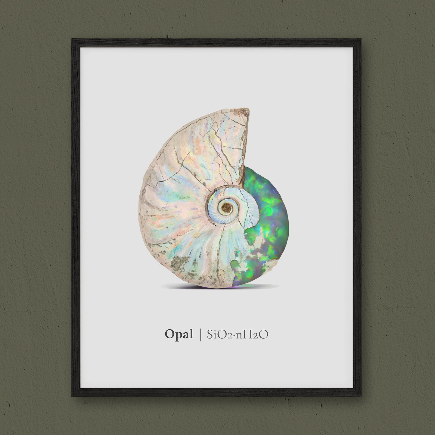 6- Opal